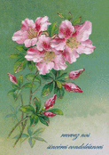 Fleurs d&eacute;licates et hommage sinc&egrave;re
